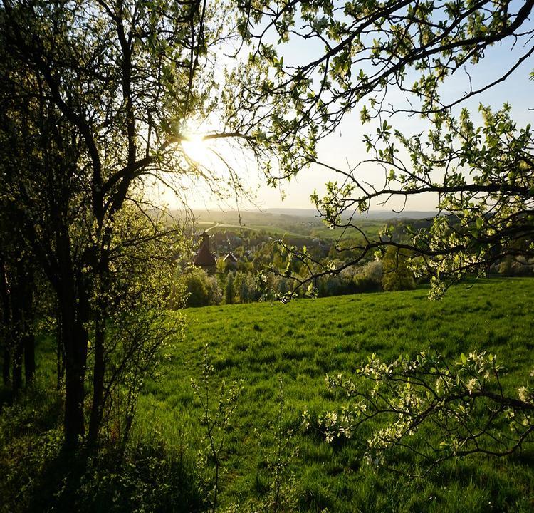 Berg-Gasthof Hotzelein